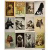 Image 2 : Animals - Dog Postcards 24