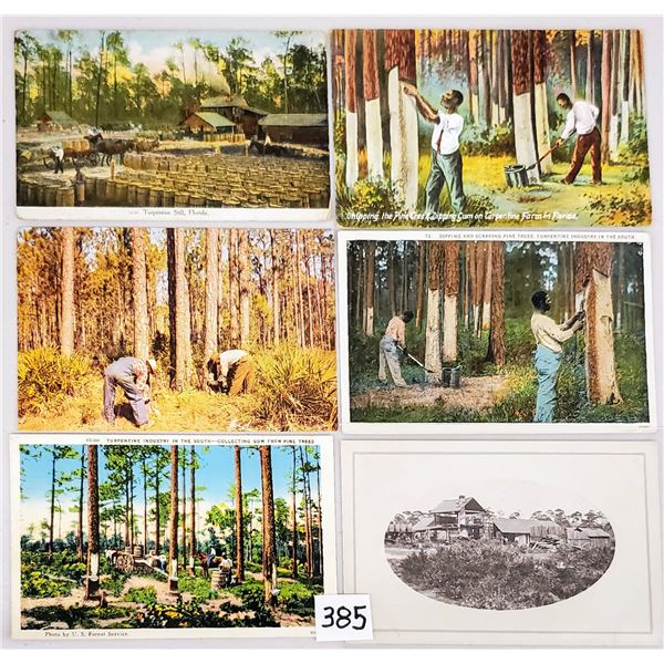 Florida Turpentine Industry Postcards 16