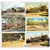 Image 2 : Florida Turpentine Industry Postcards 16