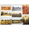 Image 2 : Farming 185 Postcards