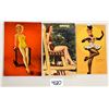 Image 1 : Bathing Beauty - Pin Up Women 13 Postcards
