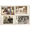 Image 1 : Group of 7 Early Interesting Animal Postcards