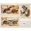 Image 2 : Group of 7 Early Interesting Animal Postcards