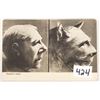 Image 2 : 3 Fantasy 2 View Postcards of Mans Face Turned Into Animals Face