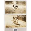 Image 1 : 4 Real Photo Underwater Silver Springs Postcards - 2 Catching Alligators