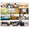 Image 2 : Switzerland Approx. 100 Postcards