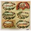 Image 1 : Group of 41 New Jersey Shellborder Postcards