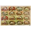 Image 2 : Group of 41 New Jersey Shellborder Postcards
