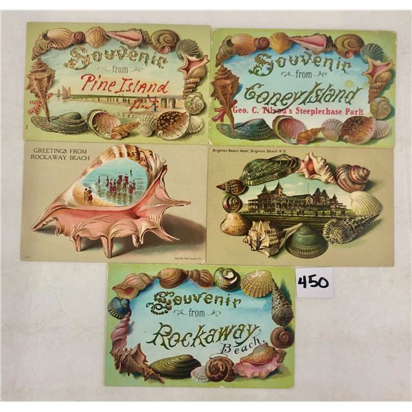 5 Shellborder New York Greeting Postcards
