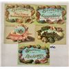 Image 1 : 5 Shellborder New York Greeting Postcards