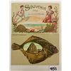 Image 1 : 2 California Shellborder Greetings Postcards