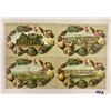 Image 1 : Group of 19 Virginia Shellborder Postcards