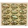Image 2 : Group of 19 Virginia Shellborder Postcards