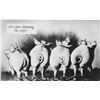 Image 1 : Real Photo New Year Greeting Pig Year Date 1927 Postcard