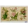 Image 2 : Novelty - 6 Klein All Silk Flower & Fruit Greeting Postcards