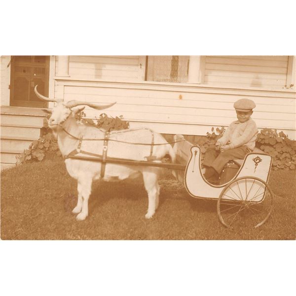 Real Photo Boy & Goat Pull Cart Postcard