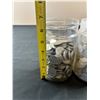 Image 2 : Quarters and Nickels