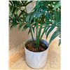 Image 3 : Fake plant