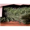 Image 2 : Christmas Lot