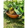 Image 2 : 3 Fake potted vines