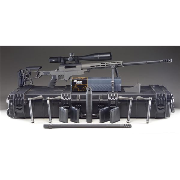 NEMESIS ARMS ANSR MODULAR RIFLE WITH SIG ARMS