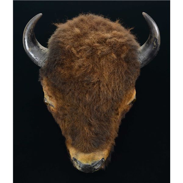 VINTAGE BUFFALO HEAD MOUNT.