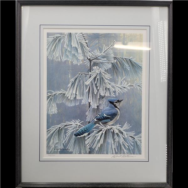 Robert Bateman Pencil Signed Digital Print Of Frosty Morning Blue Jay 744/950