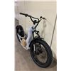 Image 3 : ALPINE RIDING A-RIDE PACIFIC COASTER FULL SUSPENSION ELECTRIC SIZE 24" FAT TIRE SCOOTER,