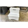 Image 1 : WHITE WOODEN 2' STORAGE STEP