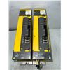 Image 2 : (2) Fanuc #A06B-6124-H207 Drives