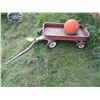Image 1 : Kid's Wagon - Basketball