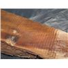 Image 8 : Hawaiian Koa– Live Edge – Some Curl & Figure Showing Up  – 7 Board Feet