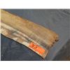 Image 2 : Hawaiian Koa Slab – Very Curly In The Sap Edges  34" x 6" x 0.5"