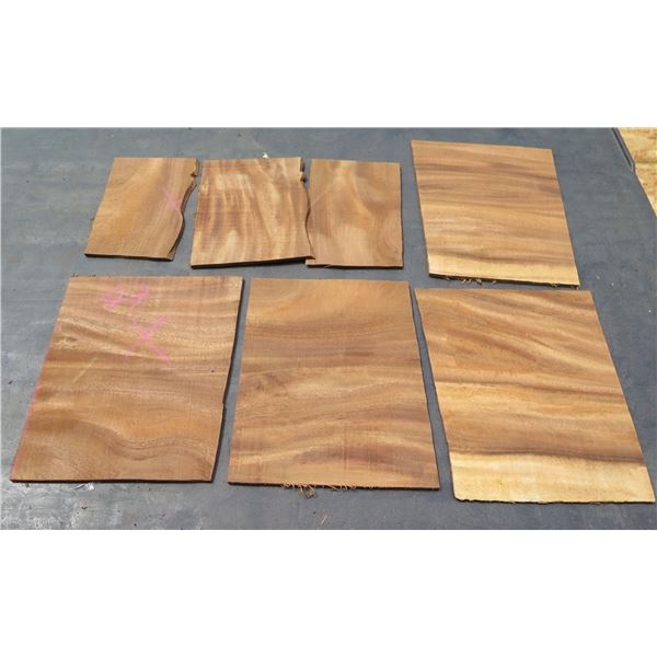 Qty 7 Monkey Pod Veneer Slices ~1/4” Thick, Misc Sizes