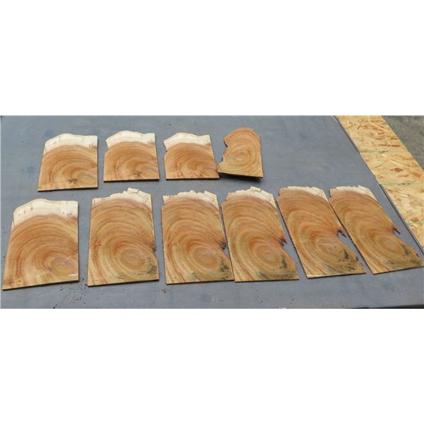 Qty 10 Hawaiian Koa Veneer Slices ~1/4” Thick, Misc Sizes