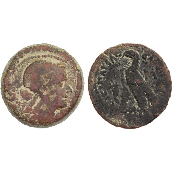 PTOLEMAIC (EGYPT): Cleopatra VII Thea Neotera, 51-30 BC, AE 40 drachmai (8.47g), Alexandria, VF