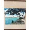 Image 2 : A 1900's Framed Colourized Photo