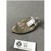 Image 2 : Orthoceras Fossil. Retail $380