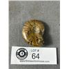 Image 2 : Ammonite Fossil