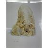Image 2 : Glen Loates Reproduction Matted Polar Bears Print Ready For Framing. Approx. 20" x 16"