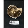 Image 1 : Ammonite Fossil. Retails $380.00