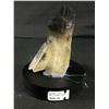 Image 2 : Natural Citrine/ Smoky Quartz. Retails $600.00