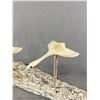 Image 2 : Vintage Hand Carved First Nation Antler Bone Pair of Geese, Ornament