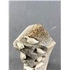 Image 2 : Vintage Whale Bone First Nations Sculpture Ivory Birds, Registered Eskimo Art Sculpture