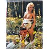 Image 2 : Lot Of Various Risque Females Wall Posters