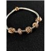 Image 2 : Pretty Pandora Bracelet w/Charms