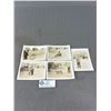 Image 1 : Very Interesting Group Of Seven 1930's-40's Photo's Of A Man w/ A Mountain Lion