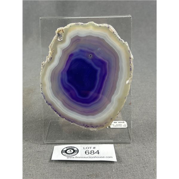 Beautiful Colourful Agate Slice Retails $480