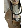 Image 5 : Andromeda (2000 - 2005) - General Utility Android Costume