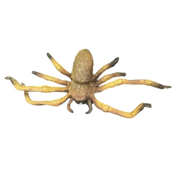 Arachnophobia (1990) - Spider